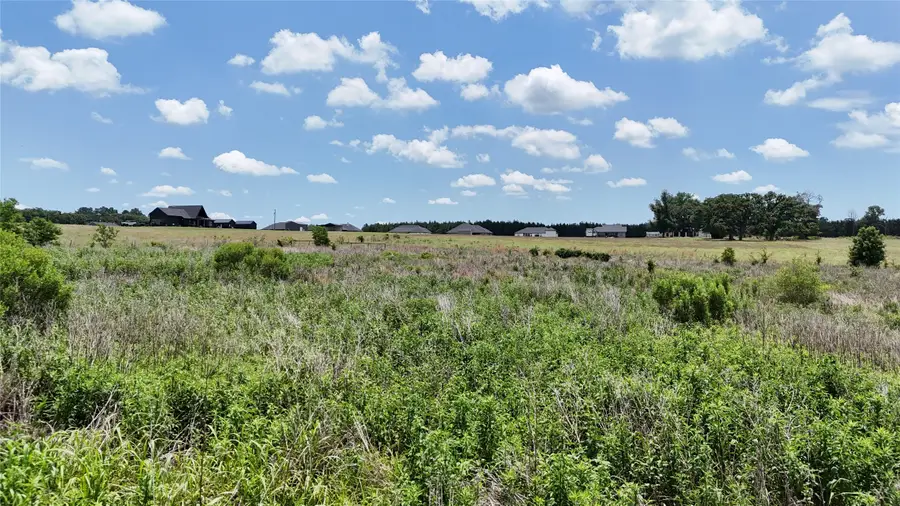 LOT 5 Cr 4507, Athens, TX 75752 - #2