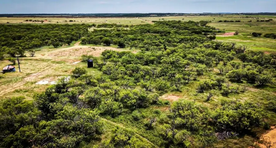 5160 FM 2652, Loving, TX 76460 - #2