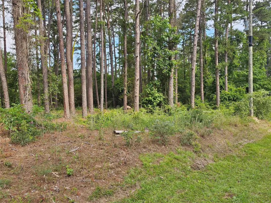 TBD Green Meadow Trail (lot 140), Holly Lake Ranch, TX 75765 - #2