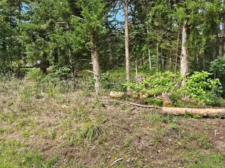 TBD Green Meadow Trail (lot 140), Holly Lake Ranch, TX 75765 - #3