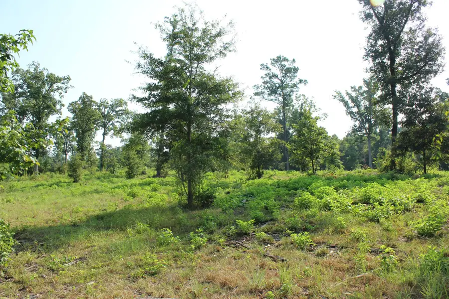 0 Germantown Road, Minden, LA 71055 - #2