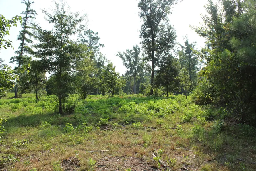 0 Germantown Road, Minden, LA 71055 - #3