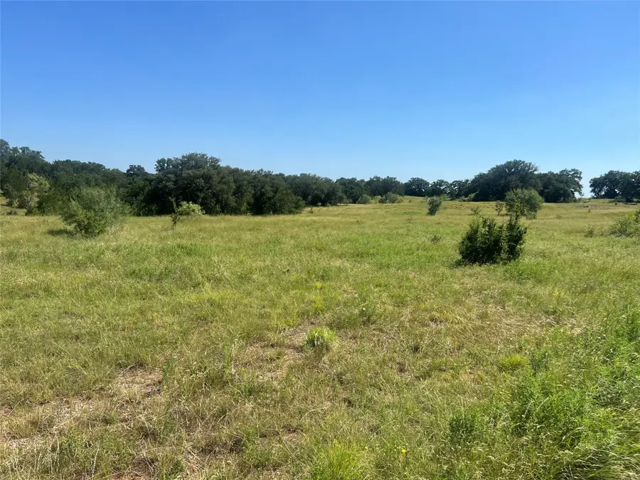 Brazos Mountain Ranch Lot 97, Mineral Wells, TX 76234 - #3