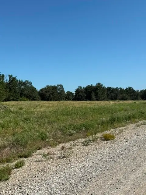 TBD Ridgeview Court, Mingus, TX 76463 - #3