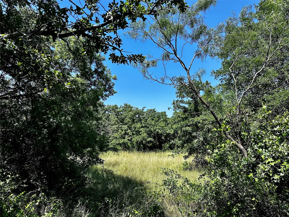 TBD County Road 409, Cisco, TX 76437 - #1