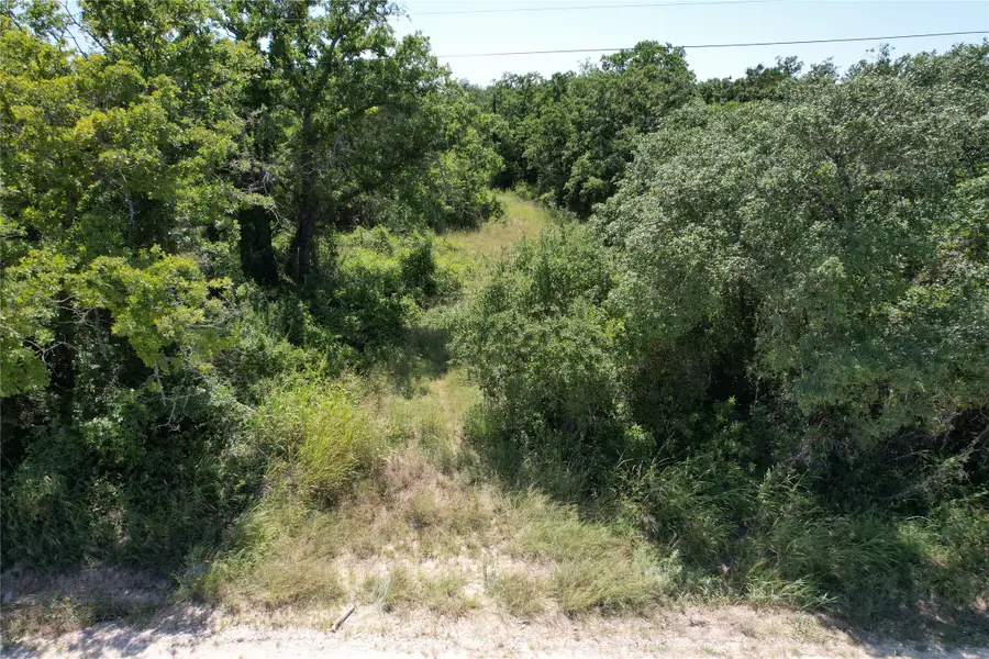 TBD County Road 409, Cisco, TX 76437 - #2