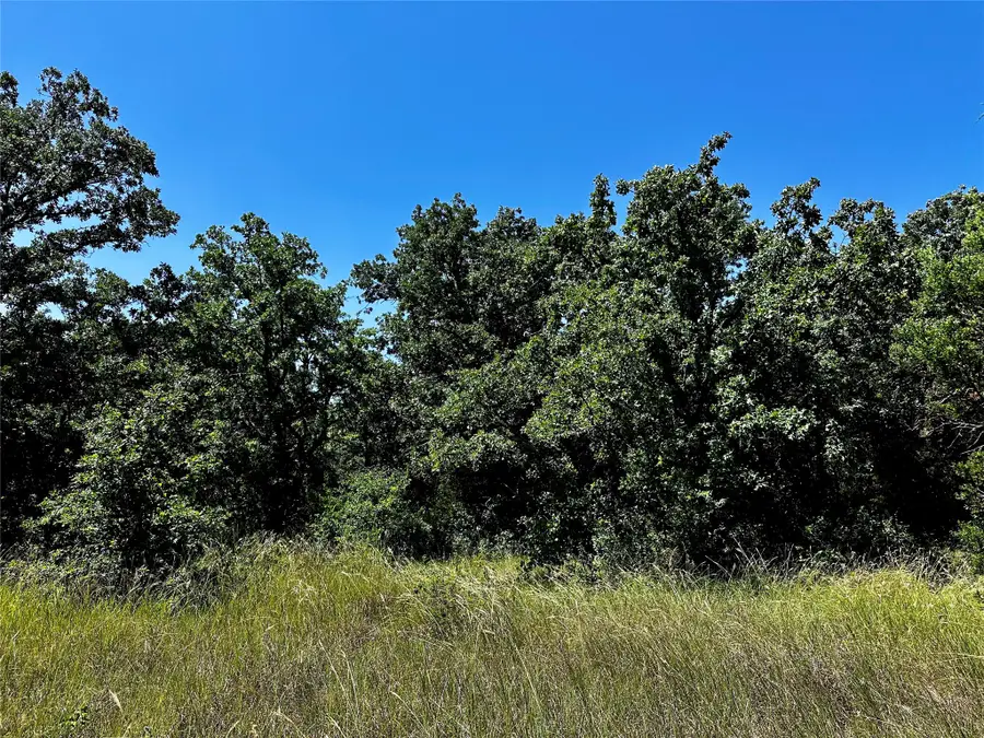 TBD County Road 409, Cisco, TX 76437 - #3