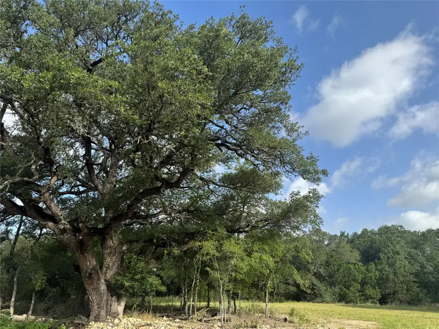 318 Whitetail Drive, Waco, TX 76712 - #2