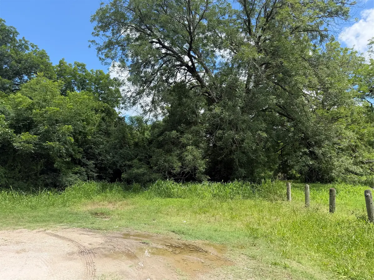 0 Will Street, Waxahachie, TX 75165 - #1