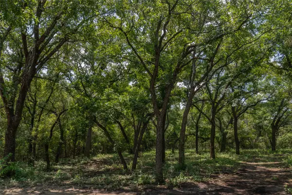 1030 Shiloh Vista Lane, Tolar, TX 76476