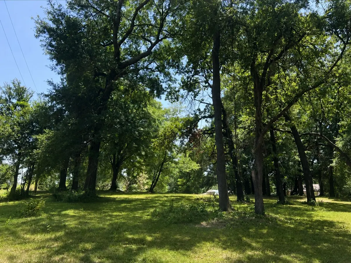 TBD Shady Shores Drive, Mabank, TX 75156 - #1