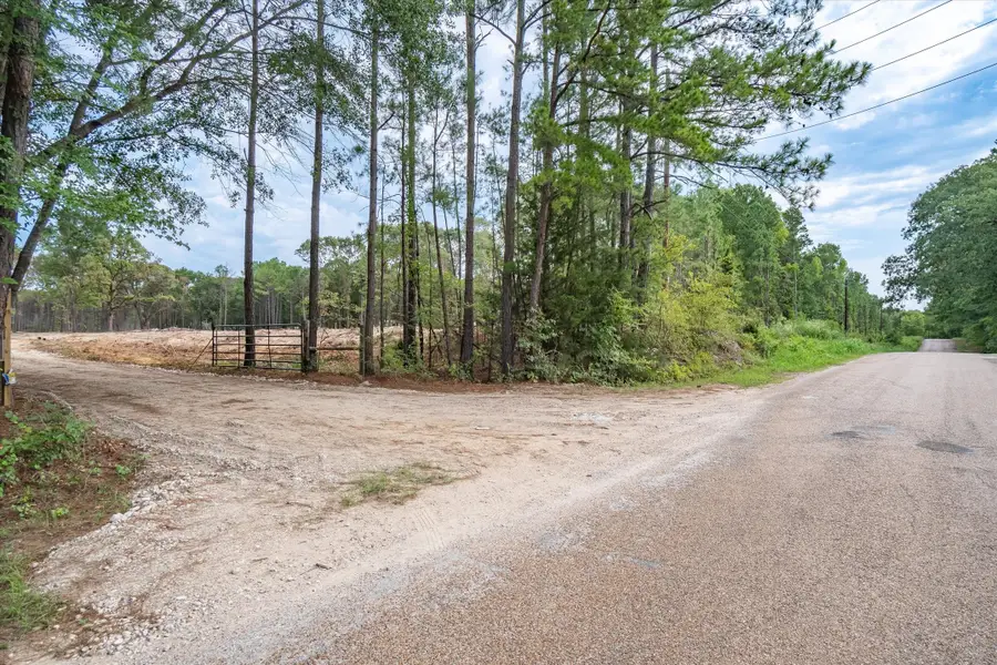 19451 County Road 4307 Road, Larue, TX 75770 - #2