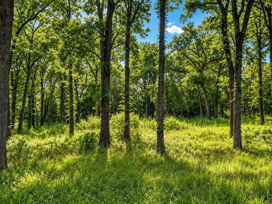 TBD County Road 1503, Point, TX 75472 - #3