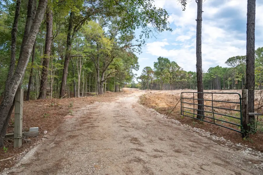 Tract 2 - TBD County Road 4307 Road, Larue, TX 75770 - #3