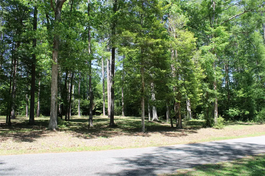 356 Woodsway Circle, Chatham, LA 71226 - #3