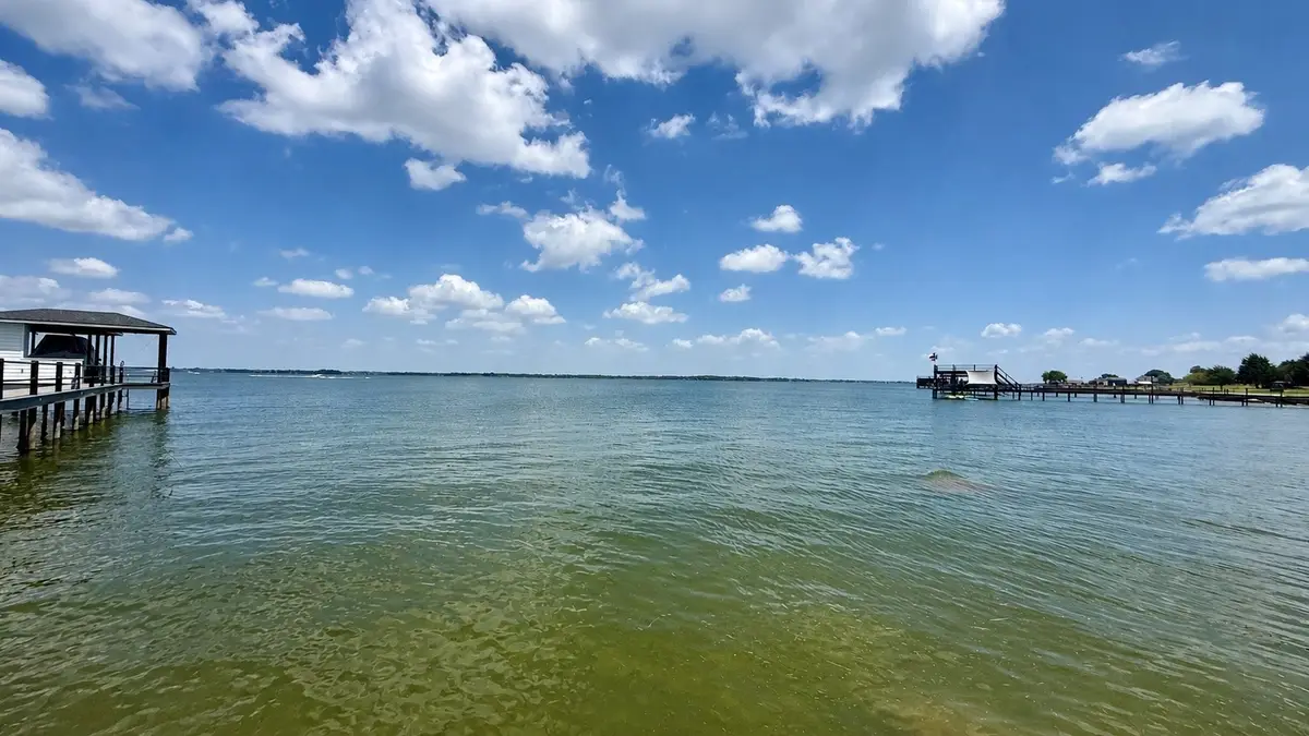 Lot 30 Marina Point, Streetman, TX 75859 - #1