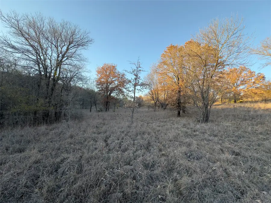 Lot 283 Cozy Cove Court, Chico, TX 76431 - #2
