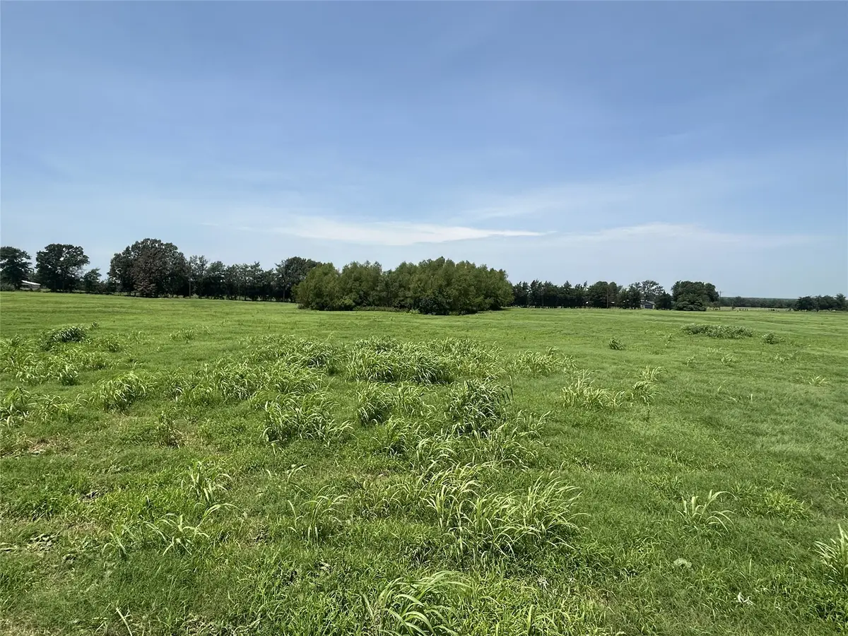 Lot 4 CR 3385 S Fm 900, Saltillo, TX 75478 - #1