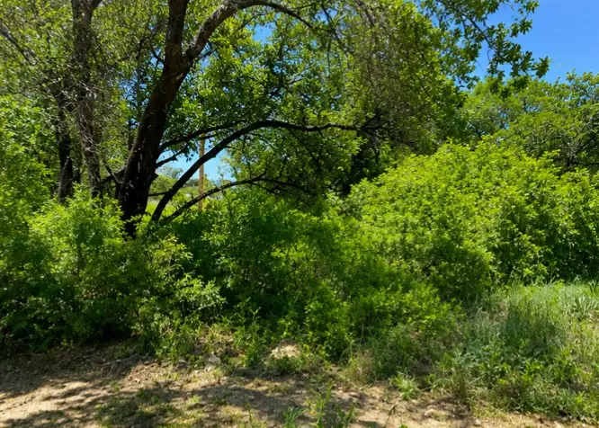 7007 Killarney Drive, Brownwood, TX 76801 - #2