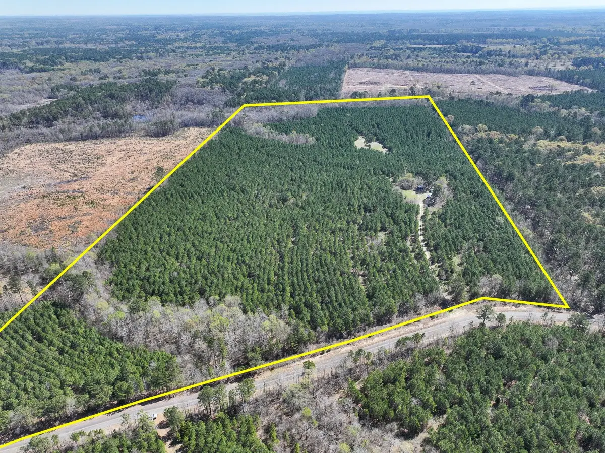 14A United Gas Road 1, Rodessa, LA 71069 - #1