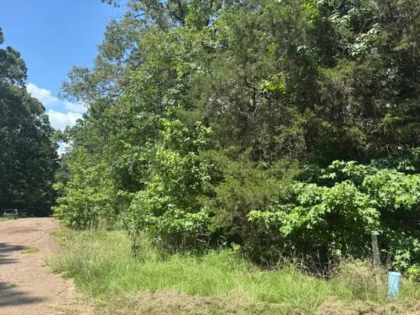 TBD Croton Lane, Mount Vernon, TX 75457