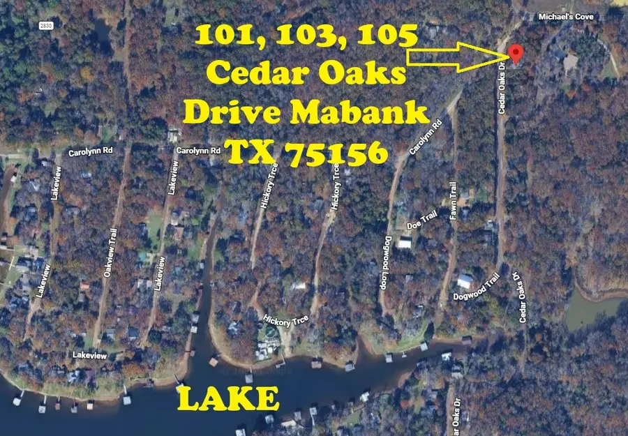 103 Cedar Oaks Drive, Mabank, TX 75156 - #2