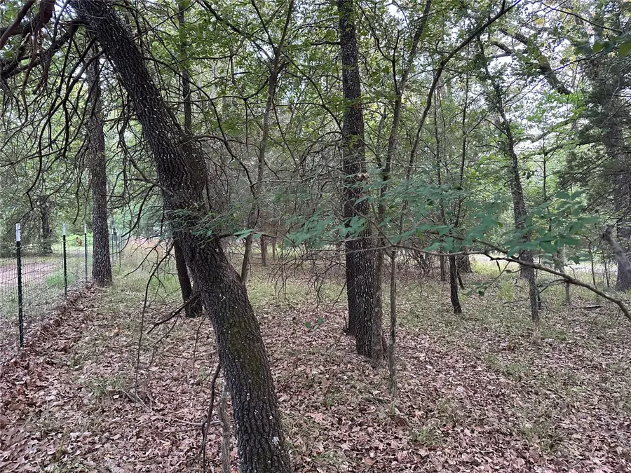 103 Cedar Oaks Drive, Mabank, TX 75156 - #3