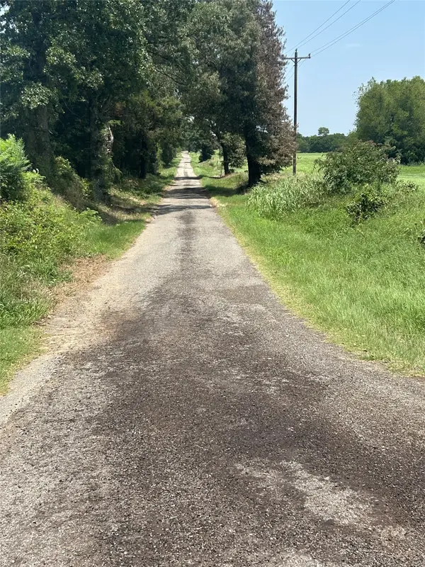 Lot 3 County Road 3358, Saltillo, TX 75478