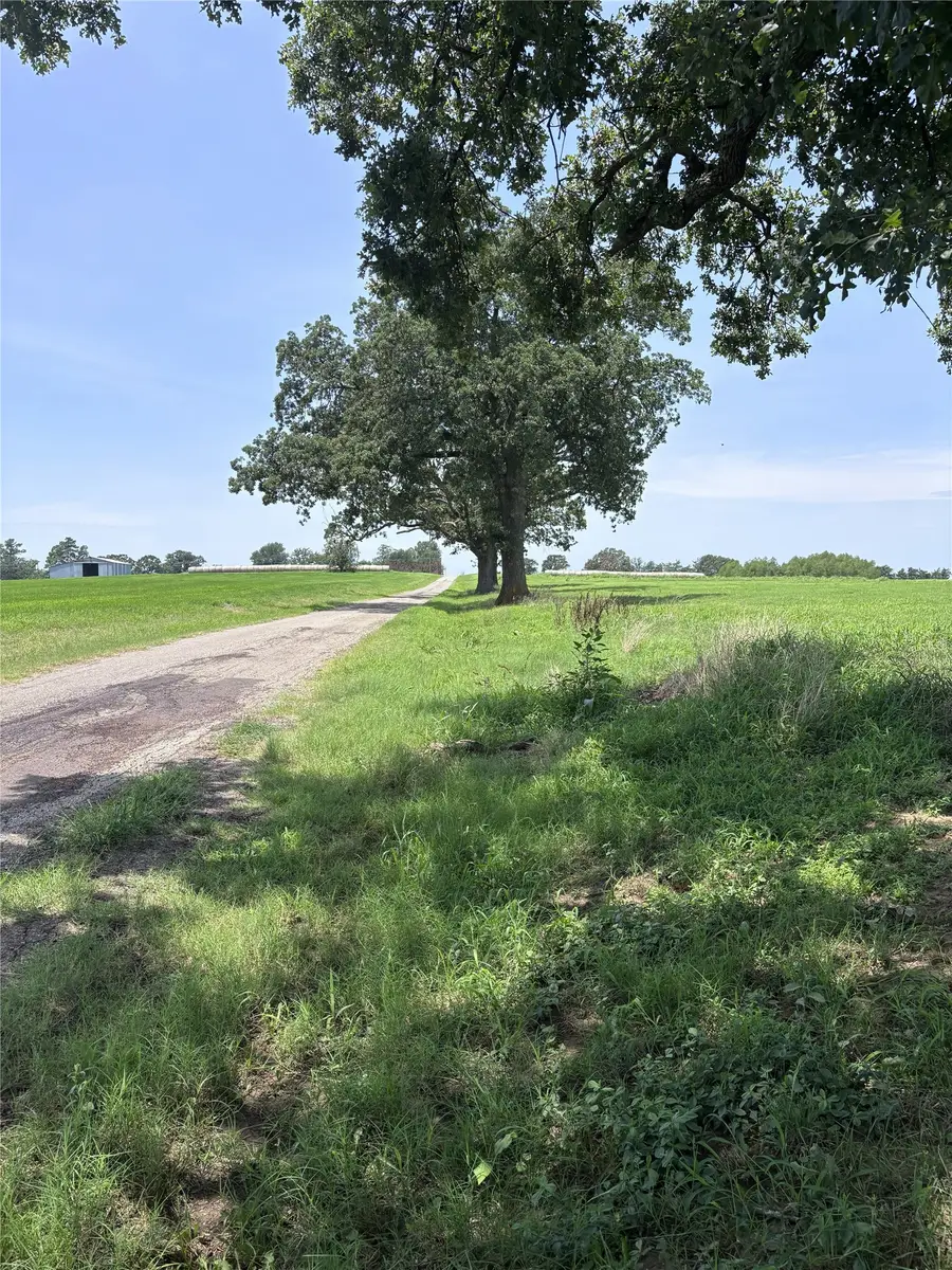 Lot 3 County Road 3358, Saltillo, TX 75478 - #3