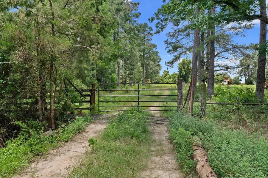 589 Us Highway 84 E, Tenaha, TX 75974 - #3