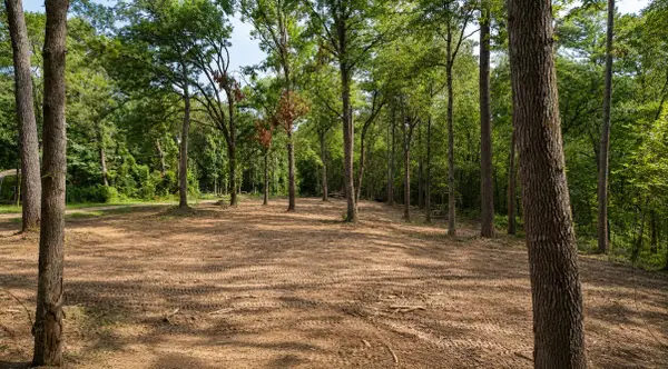163 Ermine Court, Mount Vernon, TX 75457