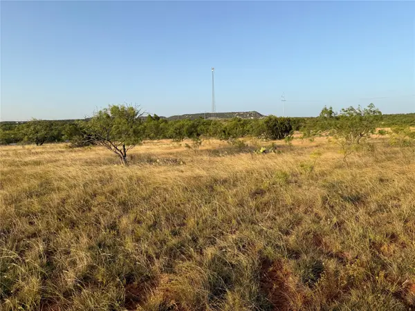 TBD Tr 4 Fm 604, Ovalo, TX 79541