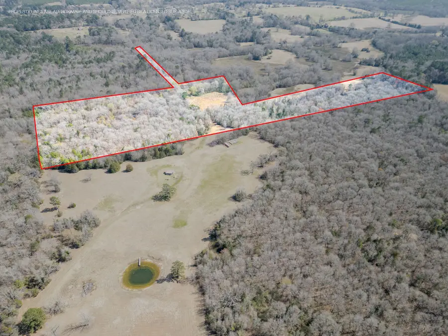 TBD Stevens Road, Marietta, TX 75566 - #2