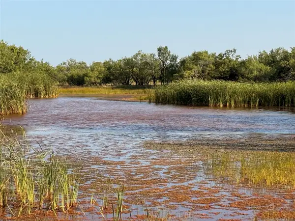 TBD Tr 8 Fm 604, Ovalo, TX 79541