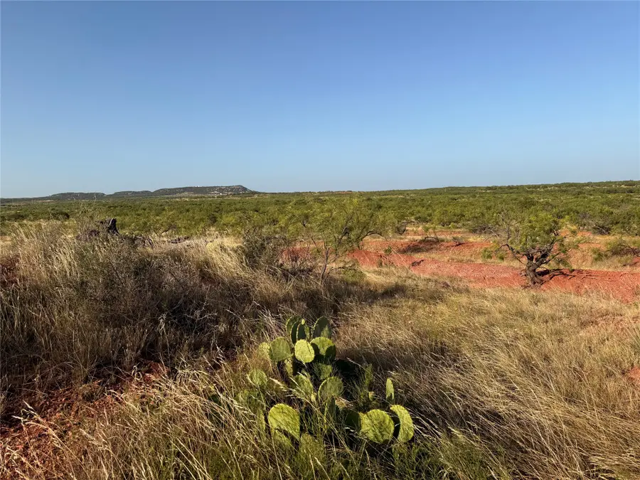TBD Tr 8 Fm 604, Ovalo, TX 79541 - #2