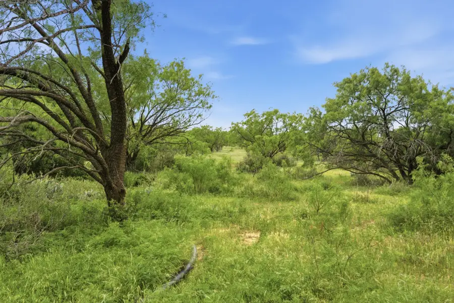 141+-Ac Fm 880, Moran, TX 76464 - #3