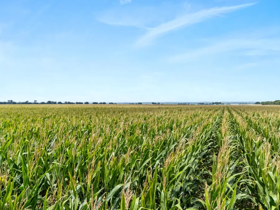 160 ac. TBD Covered Wagon Trail, Crawford, TX 76638 - #2