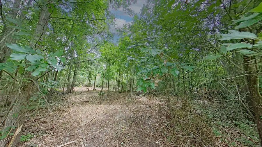 0 Treebark, Texarkana, AR 71854 - #2