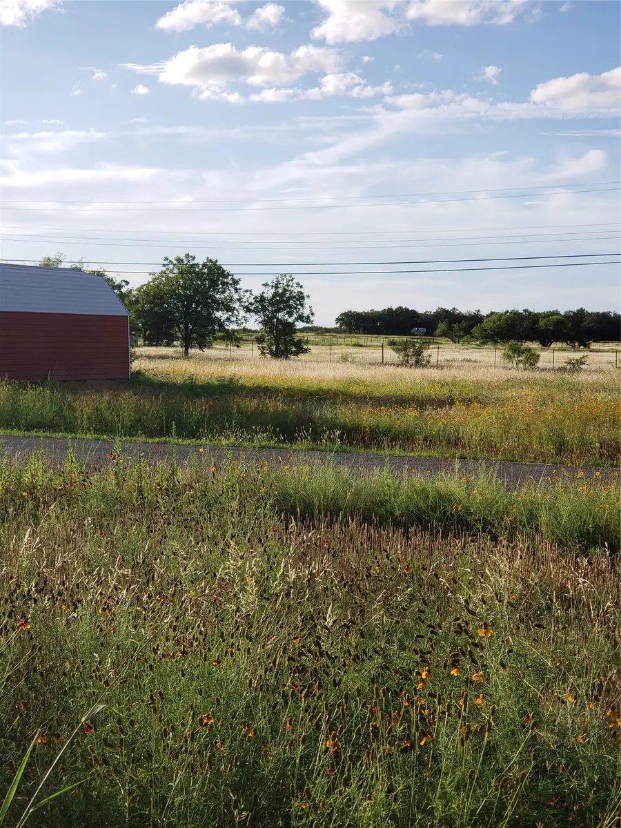 TBD County Road 183 Road, Bangs, TX 76823 - #3