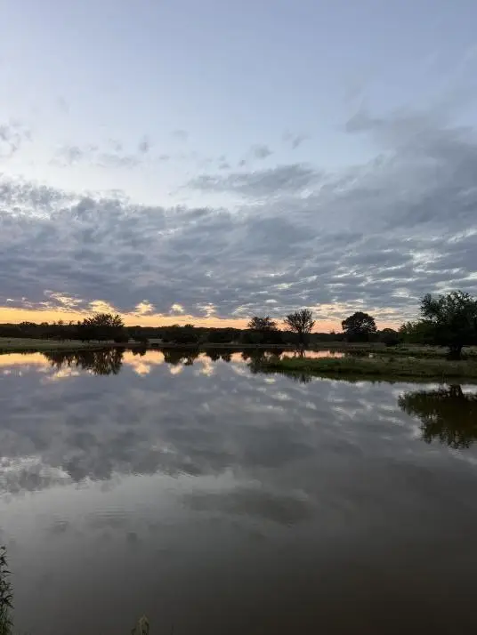 1963 County Road 44750, Blossom, TX 75416 - #1