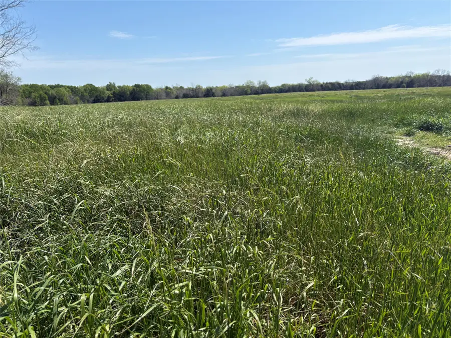 TBD 70ac Cr 4744, Sulphur Springs, TX 75482 - #2