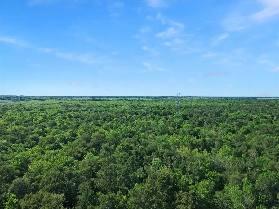 7304 Shady Lane, Scurry, TX 75158 - #3