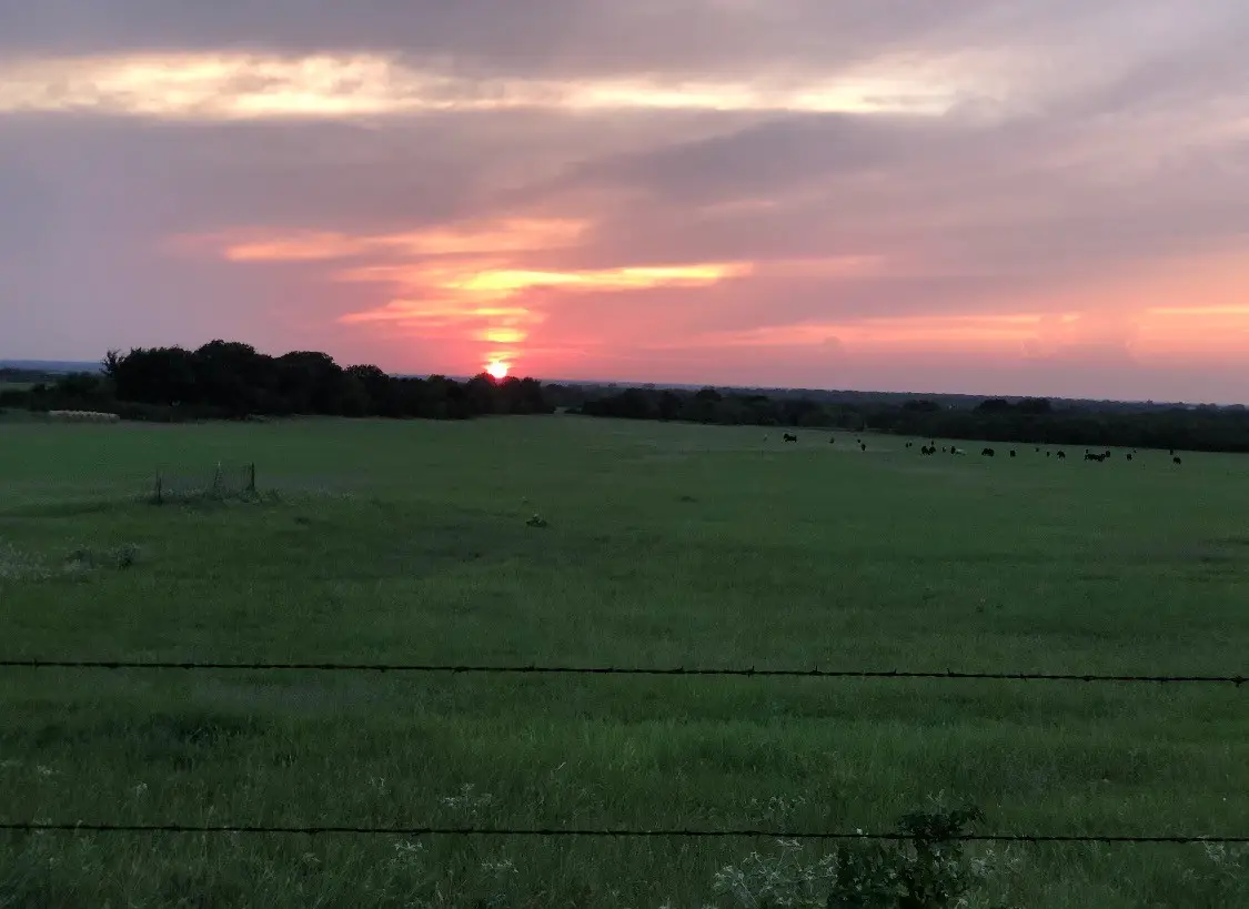 2110 County Road 362 (land), Desdemona, TX 76445 - #1