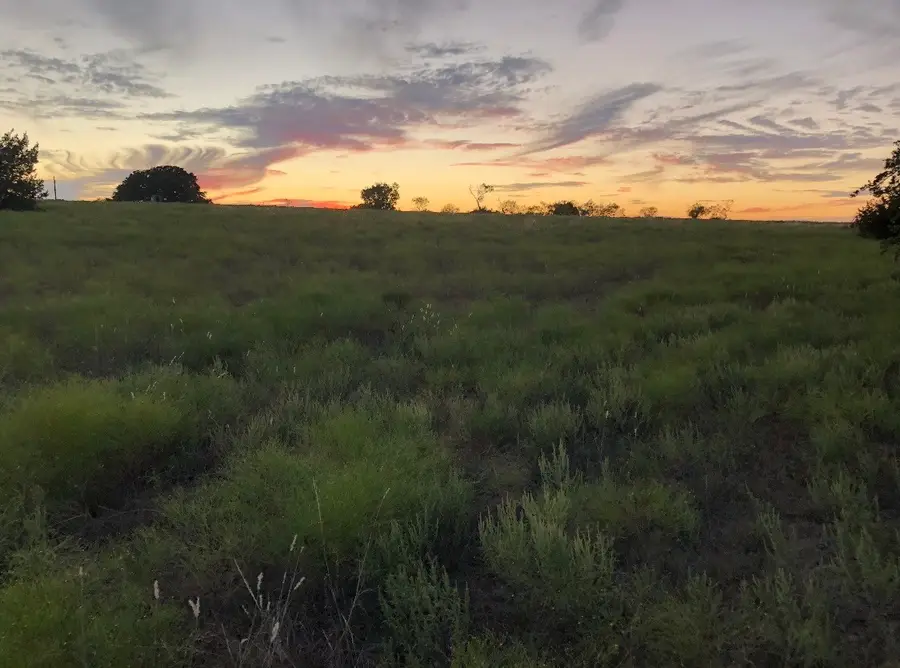 2110 County Road 362 (land), Desdemona, TX 76445 - #2