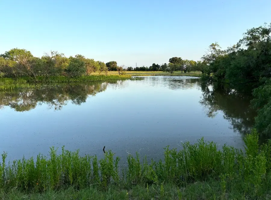 2110 County Road 362 (land), Desdemona, TX 76445 - #3