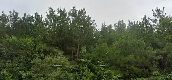 0 Bullard Road, Dubberly, LA 71024