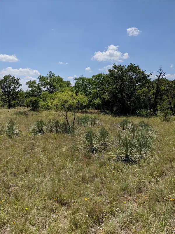 0000 Co Rd 271, Rising Star, TX 76471