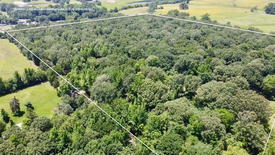 TBD Cr 44400-5, Powderly, TX 75473 - #2