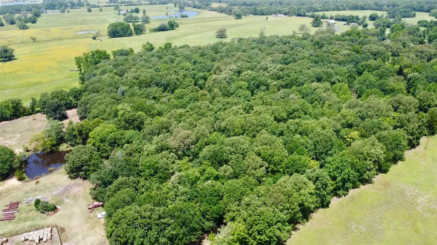 TBD Cr 44400-5, Powderly, TX 75473 - #3