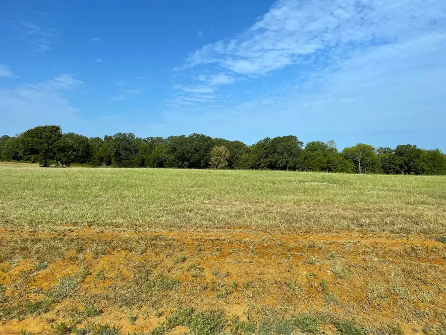 Lot 17C Windrose Loop, Gordonville, TX 76245 - #2